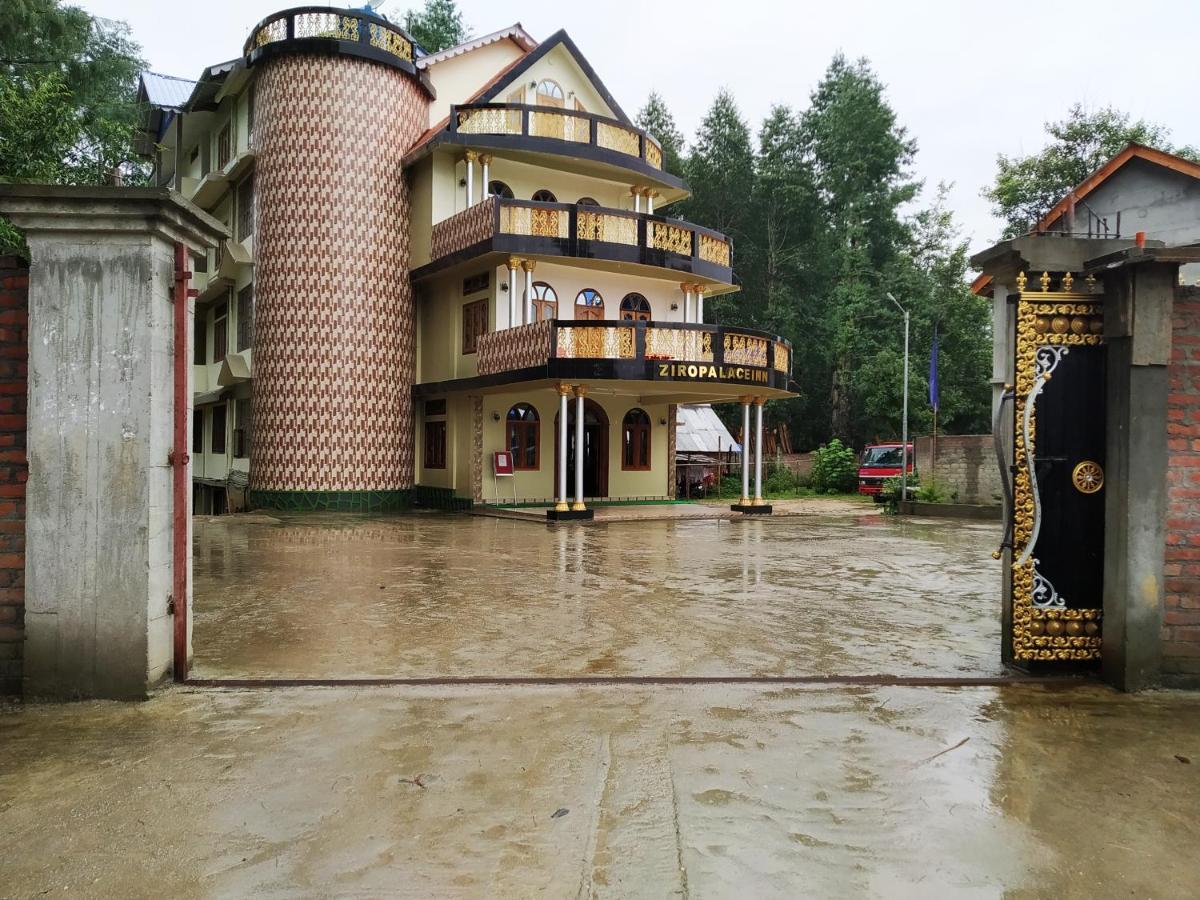 Ziro Palace Inn - A Boutique Hotel Hapoli Ngoại thất bức ảnh